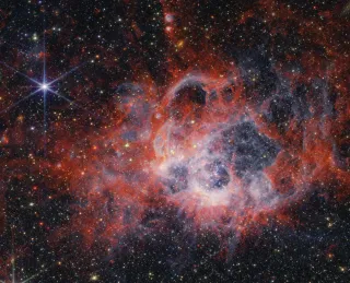 This image from NASA’s James Webb Space Telescope’s NIRCam (Near-Infrared Camera) of star-forming region NGC 604 shows how stellar winds from bright, hot, young stars carve out cavities in surrounding gas and dust. NASA, ESA, CSA, STScI