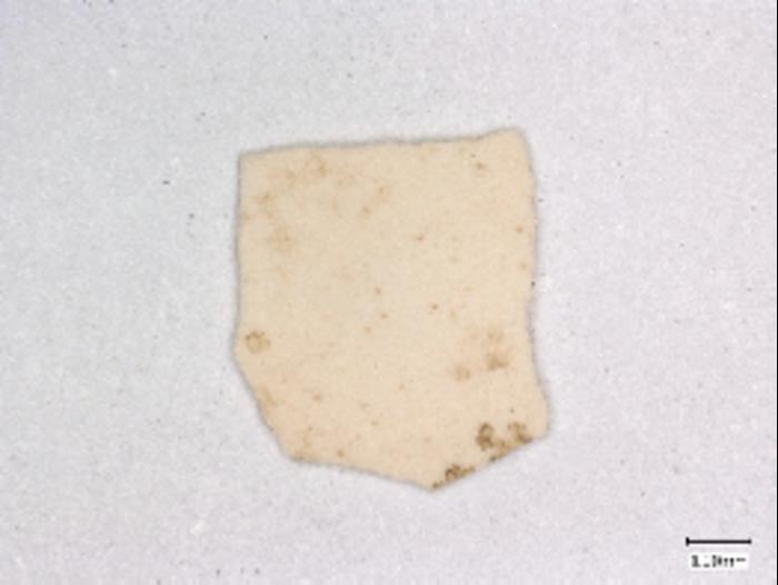 An eggshell fragment from the site of Bash Tepa, representing one of the earliest pieces of evidence for chickens on the Silk Road