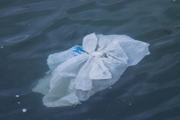 floating plastic bag
