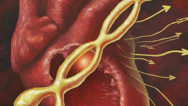 An illustration that depicts the link between the Y chromosome and heart health in men.