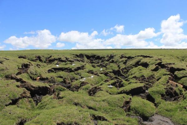 Permafrost Collapse Amplifies Climate Change Impact on Soil Carbon Emissions