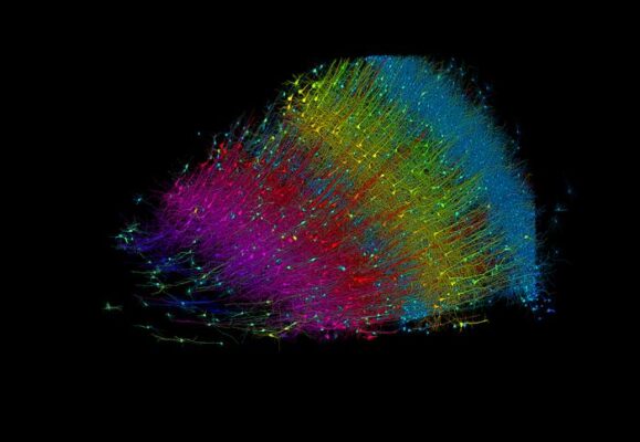 Harvard and Google Collaborate to Create Largest 3D Map of Human Brain Connectome