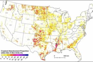 A map showing the percentage of abandoned farmland within a 36-square-kilometer area. Most of the more than 30 million acres of cultivated land abandoned between 1986 and 2018 is concentrated in the Great Plains and the Mississippi River valley.