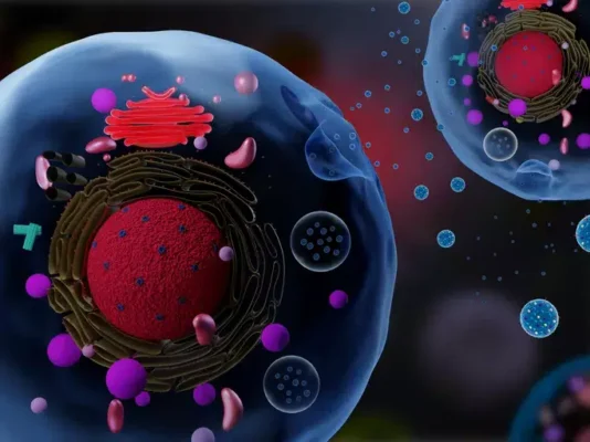 Harnessing Cell Communication Bubbles for Targeted Cancer Treatment