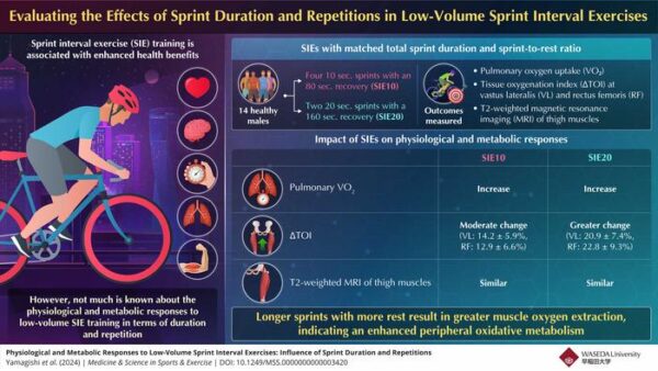 Sprint interval exercises can stimulate beneficial physiological and metabolic responses via the activation of muscles and increased oxygen uptake in tissues.