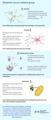 Infographic: "Alzheimer’s Disease Without Symptoms. How is That Possible?"