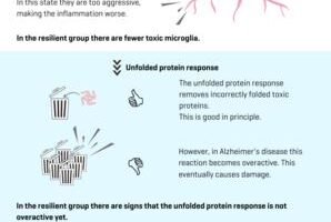 Infographic: "Alzheimer’s Disease Without Symptoms. How is That Possible?"