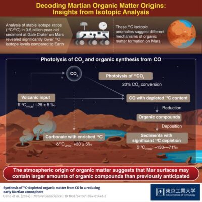 Tracing the origins of organic matter in Martian sediments