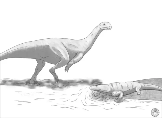 Artist reconstruction of Musankwa sanyatiensis, walking in Triassic shallow waters past a metoposaur.