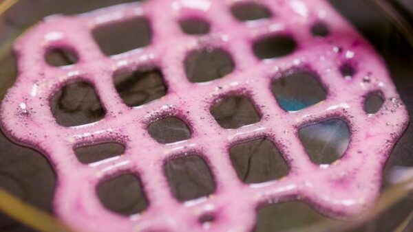 Foam containing gene therapy components is placed in a lab dish.