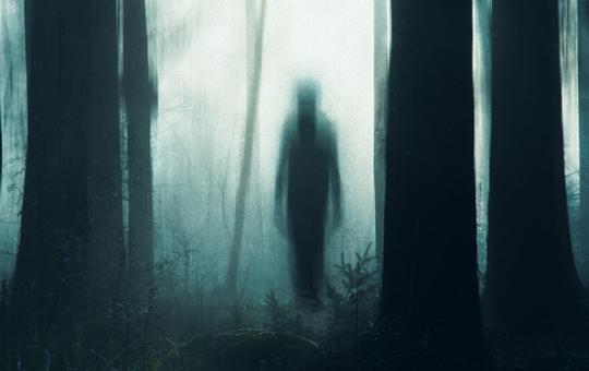 Nightmare looking scene of a lone figure in the woods