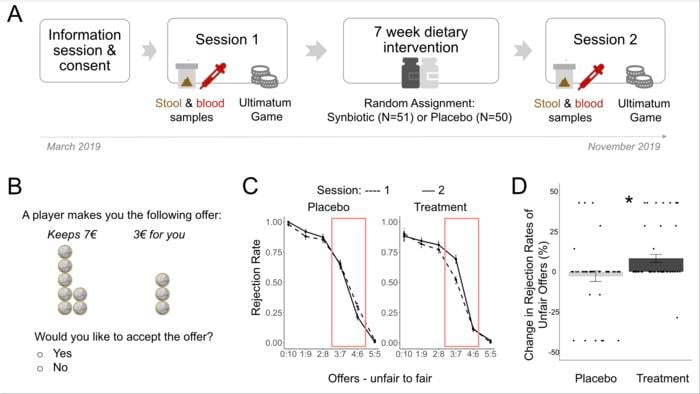 (A) Study flow and randomization. (B) Sample trial of an unfair offer in the ultimatum game. (C) Distribution of rejection rates of all offers for each group and each session. (D) Change in rejection rates of unfair offers across sessions for each group (to improve visibility, points are jittered).