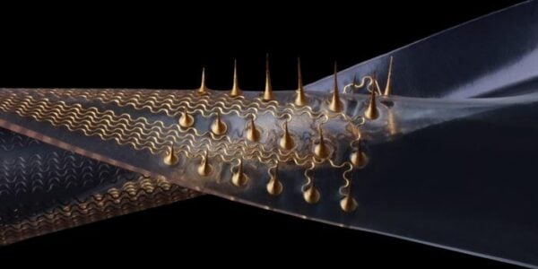 Stretchable microneedle electrode arrays.
