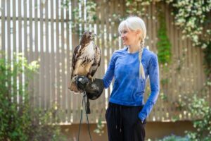 Dr. Emma Schachner with a red-tailed hawk at the UF College of Veterinary Medicine.