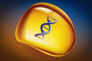 The glassy, amber-like polymer can be used for long-term storage of DNA, such as entire human genomes or digital files such as photos. Credits:Image: MIT News; iStock