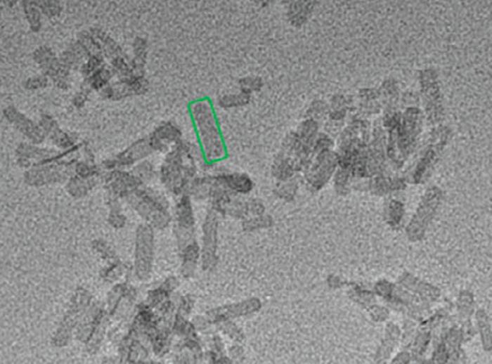 Schematic of the in situ growth of carbon dots.