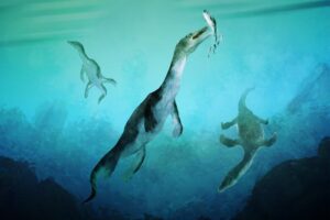 Reconstruction of the earliest sea-going reptile from the Southern Hemisphere: Nothosaurs swimming along the ancient southern polar coast, now part of New Zealand, around 246 million years ago. Artwork by Stavros Kundromichalis.