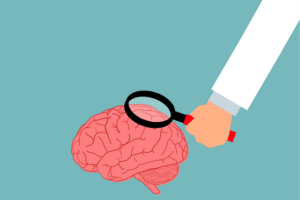 Brain, magnifying glass illustration