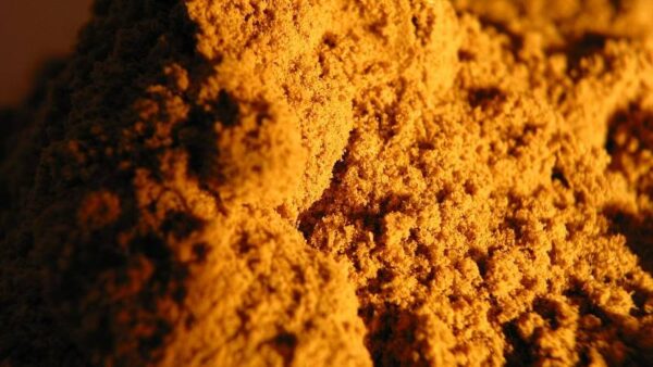 berberine powder