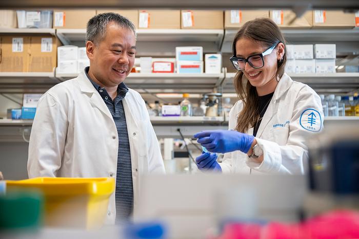 Animal model reseach led by Rebecca Delconte, PhD, and Joseph Sun, PhD, has shown for the first time that fasting can reprogram the metabolism of natural killer cells, helping them to survive in the harsh environment in and around tumors, while also improving their cancer-fighting ability.