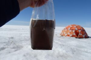 One of the samples in which Laura Perini found giant virusses. At first glance it looks like dirty water, but the bag is teeming with microorganisms, one of those being the ice algae that darkens the ice.