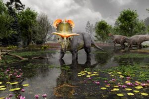 Depiction of Lokiceratops in the 78-million-year-old swamps of northern Montana, with two Probrachylophosaurus passing by in the background.