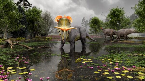 Depiction of Lokiceratops in the 78-million-year-old swamps of northern Montana, with two Probrachylophosaurus ...                    </div>

                    <div class=