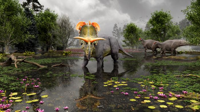 Depiction of Lokiceratops in the 78-million-year-old swamps of northern Montana, with two Probrachylophosaurus passing by in the background.