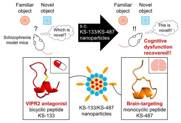 Nanoparticle Breakthrough Could Aid Schizophrenia Treatment