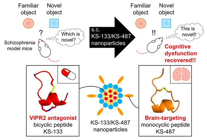 Nanoparticle-based drug delivery systems (DDS) containing peptides offer an innovative approach to effectively treat schizophrenia. Such DDSs hold significant potential to revolutionize therapeutic strategies against diseases that affect the central nervous system.