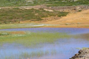 sludge pond