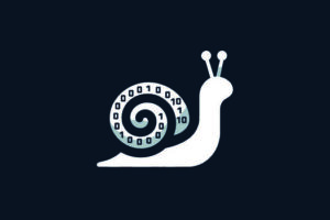 snail illustration with zeroes and ones