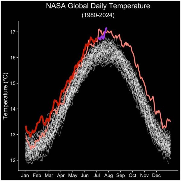 Daily global average temperature values from MERRA-2 for the years 1980-2022 are shown in white, values for the year 2023 are shown in pink, and values from 2024 through June are shown in red. Daily global temperature values from July 1-July 23, 2024, from GEOS-FP are shown in purple.