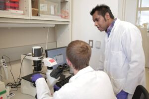 Krishanu Saha, right, works in a lab at the Wisconsin Institute for Discovery. Submitted photo