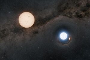 This illustration depicts a binary star system consisting of a dense neutron star and a normal Sun-like star (upper left). Using data from the European Space Agency's Gaia mission, astronomers found several systems like this one, in which the two bodies are widely separated. Because the bodies in these systems are far apart, with separations on average 300 times the size of a Sun-like star, the neutron star is dormant—it is not actively stealing mass from its companion and is thus very faint. To find these hidden neutron stars, the scientists used Gaia observations to look for a wobble in the Sun-like stars caused by a tugging action of the orbiting neutron stars. These are the first neutron stars discovered purely due to their gravitational effects.