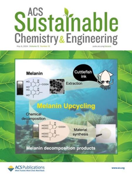 Researchers investigated the chemical decomposition products of melanin and explored its potential in the synthesis of biopolymers. According to their findings, melanin could soon become a valuable biomass resource.