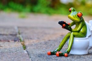 frog on a toilet