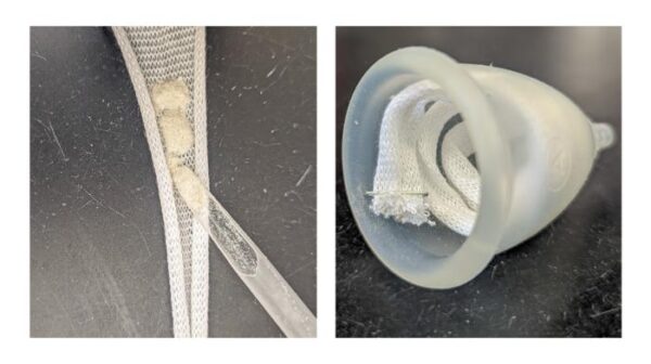 A cotton gauze stockinette coil that is filled with the powdered biomaterial (at left). The powder-filled coil is then inserted in a menstrual cup (at right).