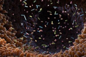 inside the gut illustration with microbes floating around