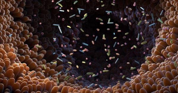 inside the gut illustration with microbes floating around