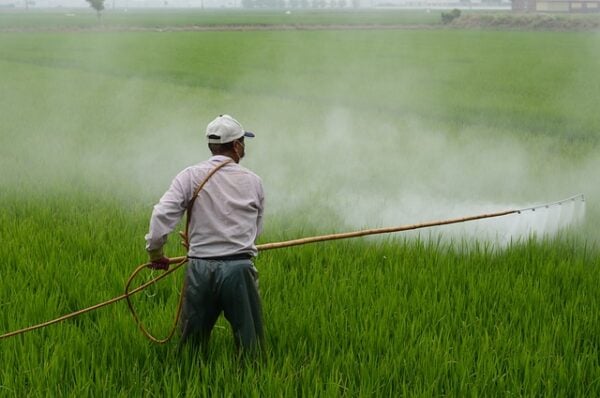 man spraying pesticide