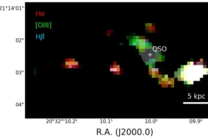 Here's a clearer version of the image caption: Colored map of the PJ308-21 system showing gas emissions: - Hydrogen: Red and blue - Oxygen: Green The central quasar's light has been masked out. Color variations in the quasar's host galaxy and its companions indicate different gas properties in each region.