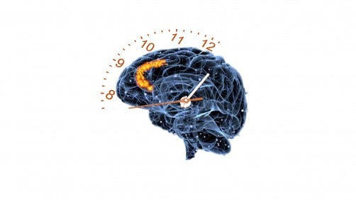 Brain and clock hybrid illustration