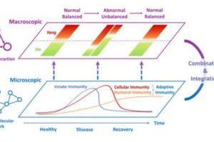 Immune States: Integrating Traditional Chinese Medicine and Modern Medicine for a Holistic View of Immunity