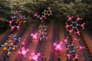 Illustration of phosphorus cleavage from different biomolecules on the surface of natural iron oxide particles.