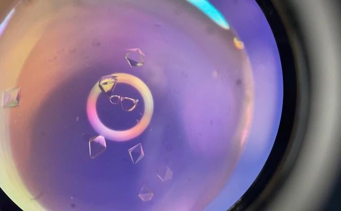 Researchers grew crystals of a pure actinium compound, seen here through a microscope, to understand how actinium binds to other molecules in a solid.