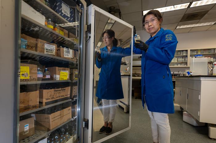 UC Riverside associate professor Yujie Men at an incubator filled with bacteria cultures bottles.