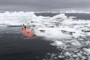 The expedition was carried out in regions of drifting ice in West Antarctica in 2022. On the return visit in 2024, Ran disappeared without a trace under the ice.