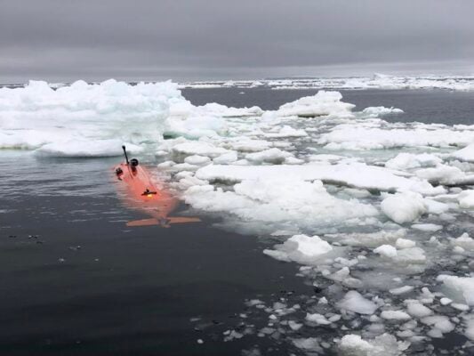 The expedition was carried out in regions of drifting ice in West Antarctica in 2022. On the return visit in 2024, Ran disappeared without a trace under the ice.