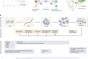 Fig. 2: A pathway from genomics to an aetiological theory of schizophrenia.